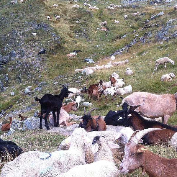 Nicky's photos (37).JPG